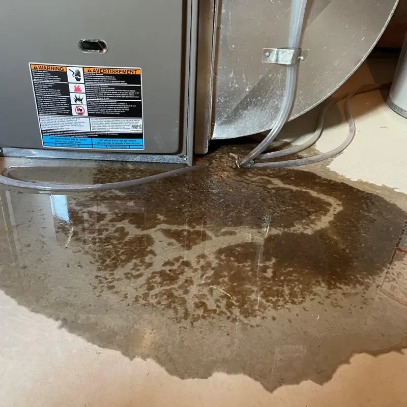 Appliance Leak Cleanup in Clay County, GA